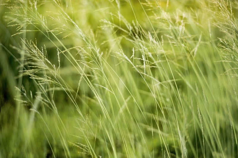Sustainable Accessories