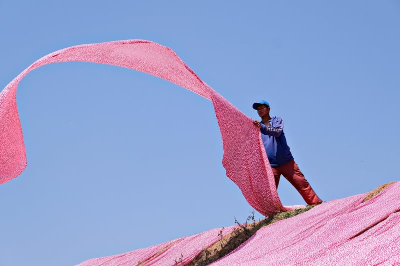 Natural dyeing